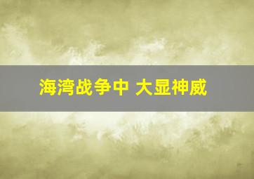 海湾战争中 大显神威